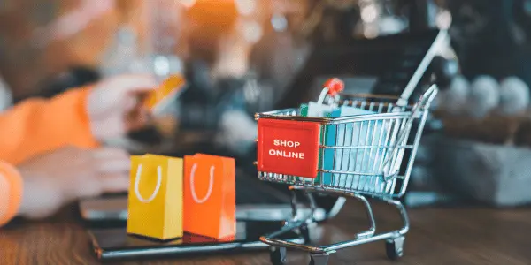 eCommerce SEO services for online stores - Product and category optimization